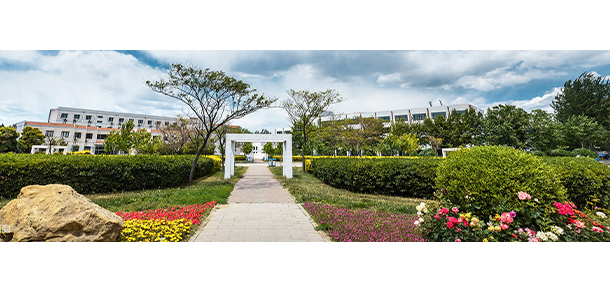 我的大學-大學志