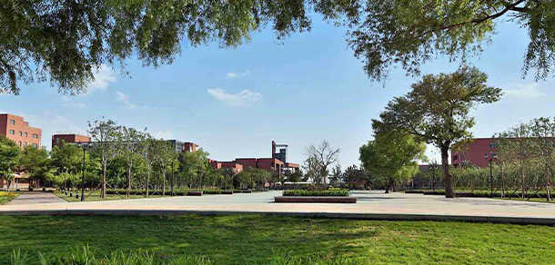 我的大學(xué)-大學(xué)志