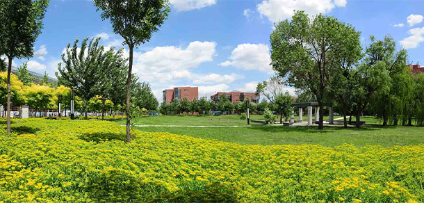 我的大學(xué)-大學(xué)志