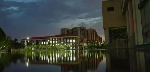 我的大學(xué)-大學(xué)志