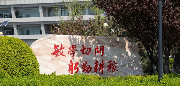 我的大學(xué)-大學(xué)志