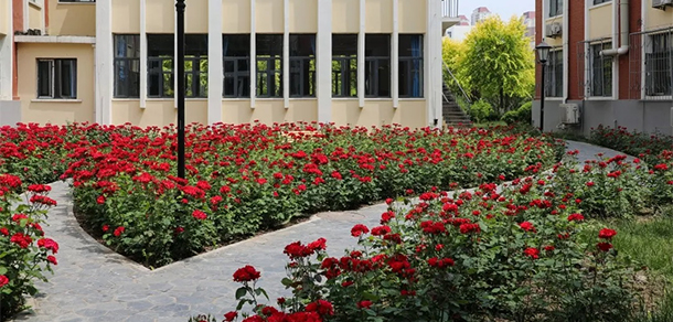 我的大學(xué)-大學(xué)志