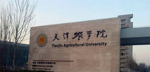 我的大學(xué)-大學(xué)志