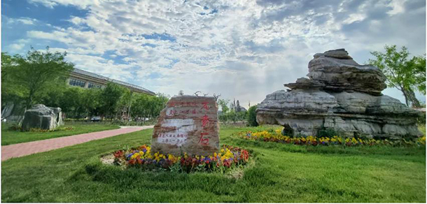 我的大學-大學志