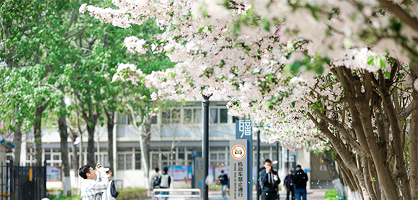 我的大學-大學志