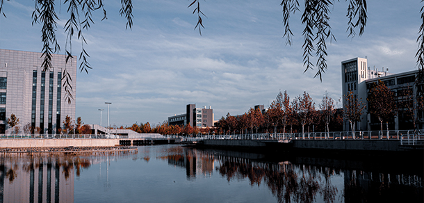我的大學-大學志