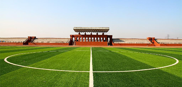 我的大學(xué)-大學(xué)志