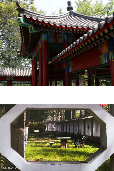 歲月流金 · 青春不散場(chǎng)
