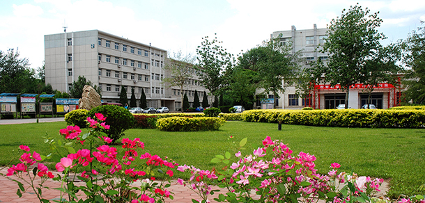 我的大學(xué)-大學(xué)志