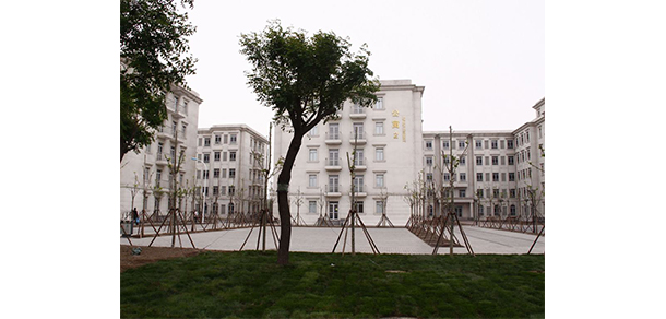 我的大學(xué)-大學(xué)志
