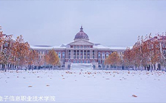 天津電子信息職業(yè)技術(shù)學(xué)院 - 我的大學(xué)