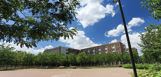 我的大學(xué)-大學(xué)志