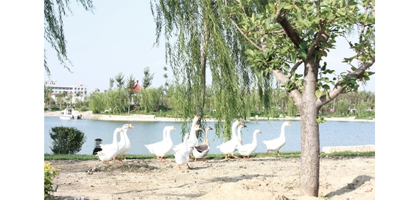 2021年招生分?jǐn)?shù)