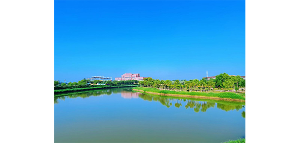 我的大學-大學志