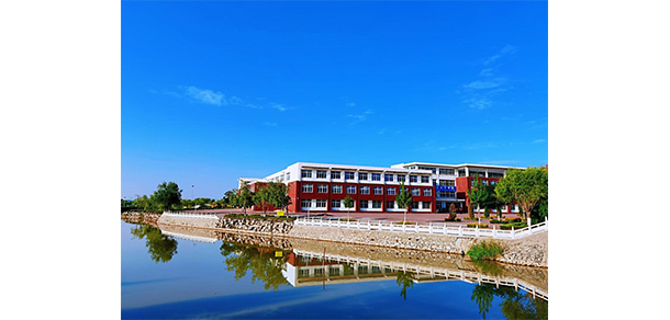我的大學-大學志