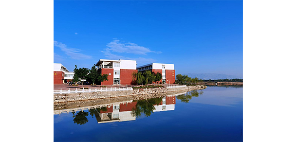 我的大學-大學志