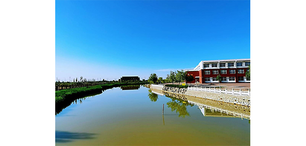 我的大學-大學志