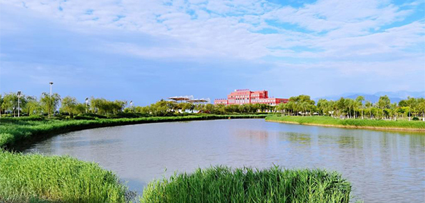 我的大學-大學志