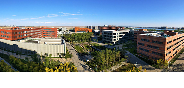 我的大學(xué)-大學(xué)志