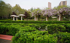 河北師范大學匯華學院 - 我的大學