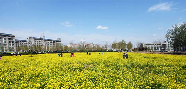河北科技大學 - 最美院校