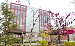 河北交通職業(yè)技術學院 - 我的大學