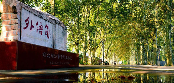 我的大學-大學志