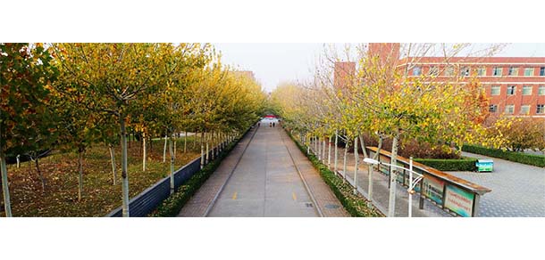 石家莊幼兒師范高等專科學校 - 最美院校