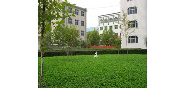 保定幼兒師范高等?？茖W(xué)校 - 最美院校
