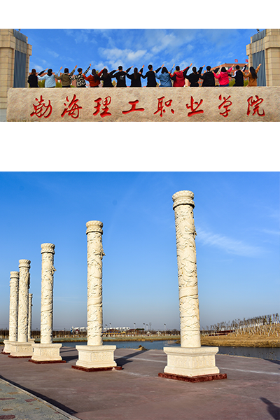 渤海理工職業(yè)學院