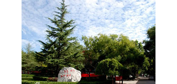 我的大學(xué)-大學(xué)志