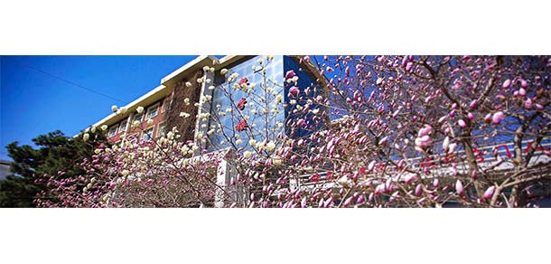 河北建材職業(yè)技術學院 - 最美院校