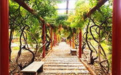 山西醫(yī)科大學晉祠學院 - 我的大學