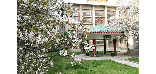 我的大學-大學志