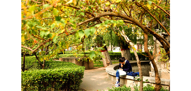 我的大學-大學志
