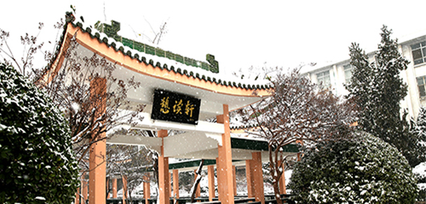我的大學-大學志
