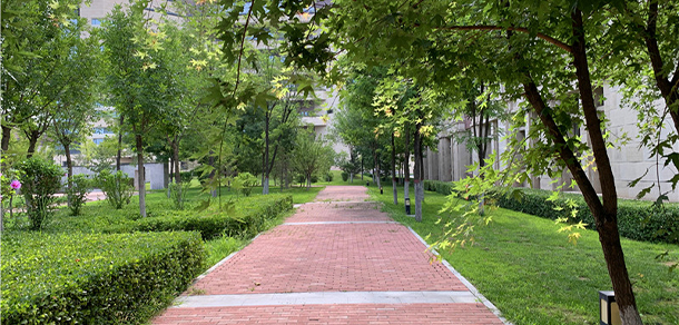我的大學-大學志
