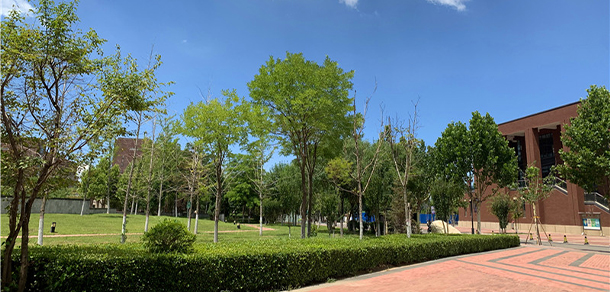 我的大學-大學志