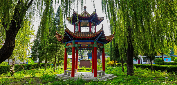 我的大學-大學志