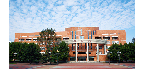 我的大學-大學志