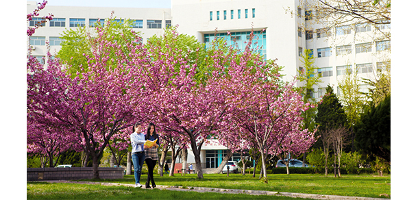 我的大學-大學志