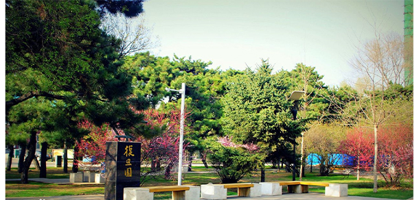 沈陽(yáng)農(nóng)業(yè)大學(xué) - 最美大學(xué)