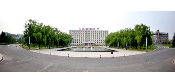 沈陽(yáng)農(nóng)業(yè)大學(xué) - 最美大學(xué)