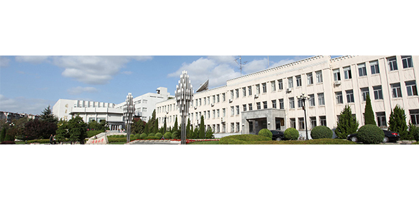 我的大學-大學志