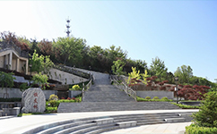東北財經(jīng)大學 - 我的大學