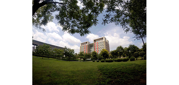 我的大學(xué)-大學(xué)志