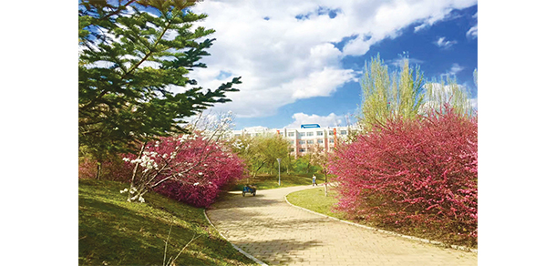 我的大學(xué)-大學(xué)志