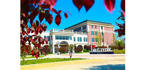我的大學(xué)-大學(xué)志