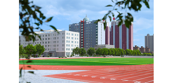我的大學(xué)-大學(xué)志