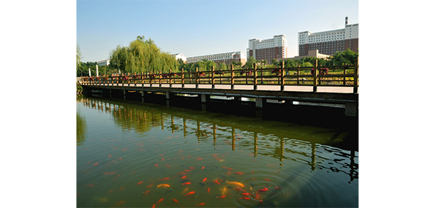 沈陽航空航天大學北方科技學院 - 最美大學